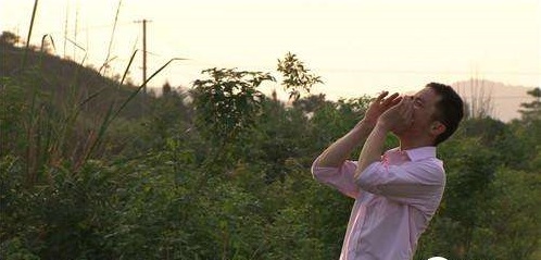 养鸡一年赚上亿元案例,养鸡利润与成功案例分享