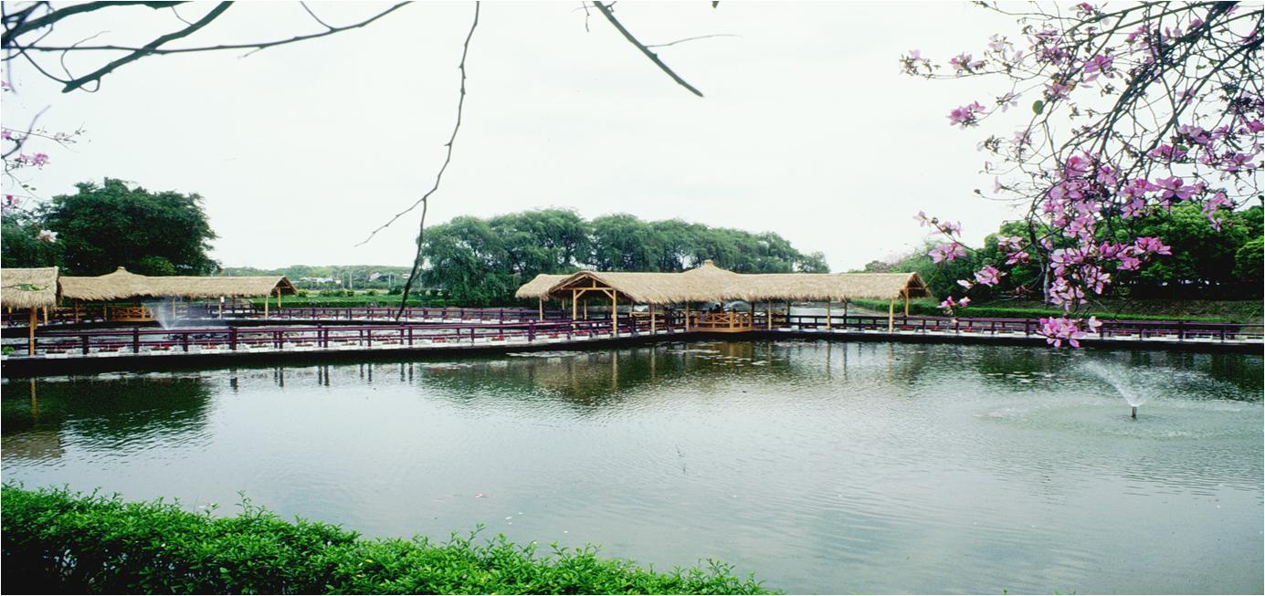 台南市景点,台南文化一日游