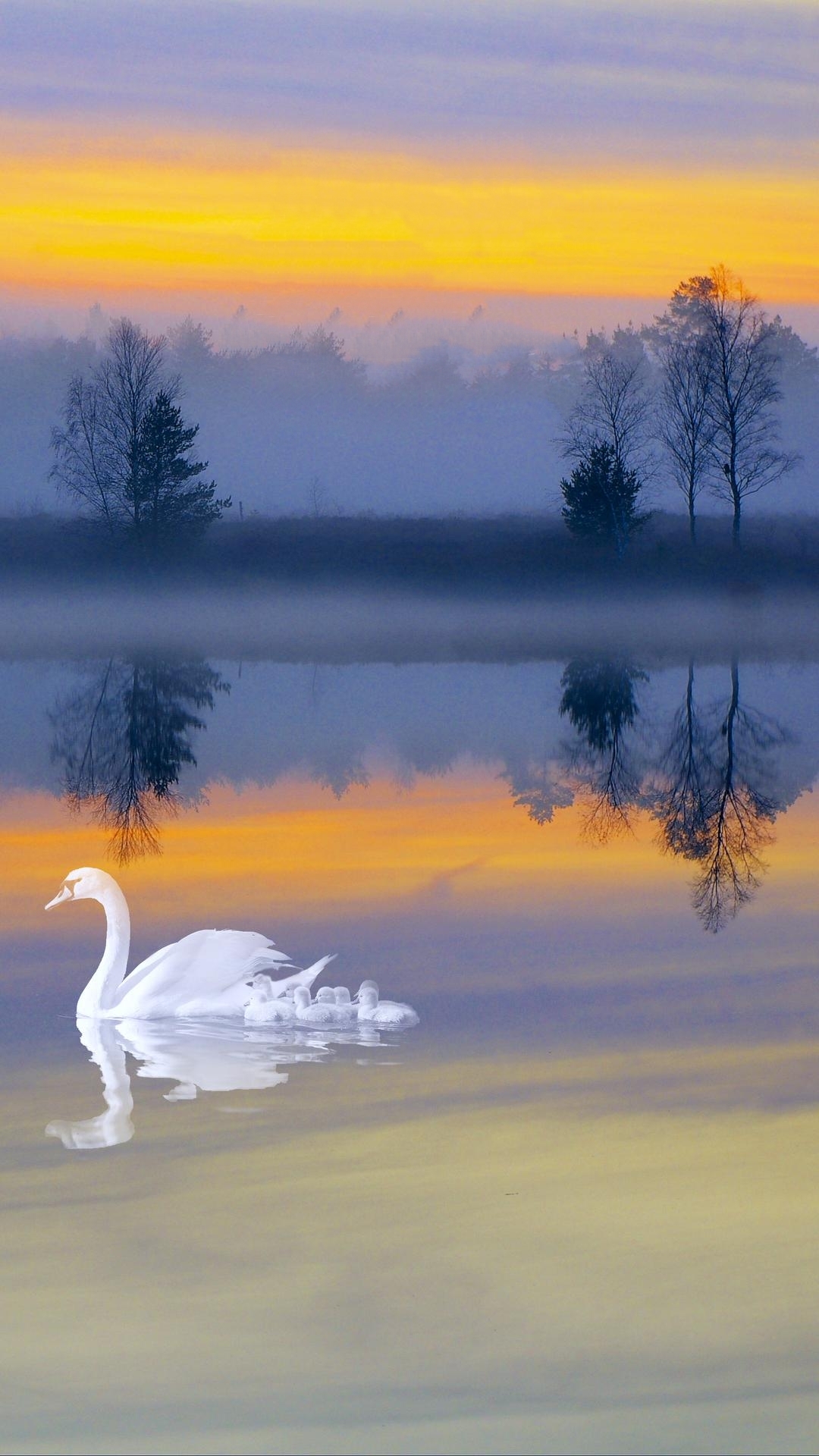 塞尔达传说旷野之息精美手机壁纸,王鸥精美手机壁纸