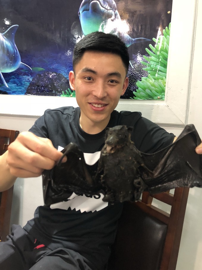 帕劳的海景风光给人美的享受,帕劳的海洋和沙滩风景图片