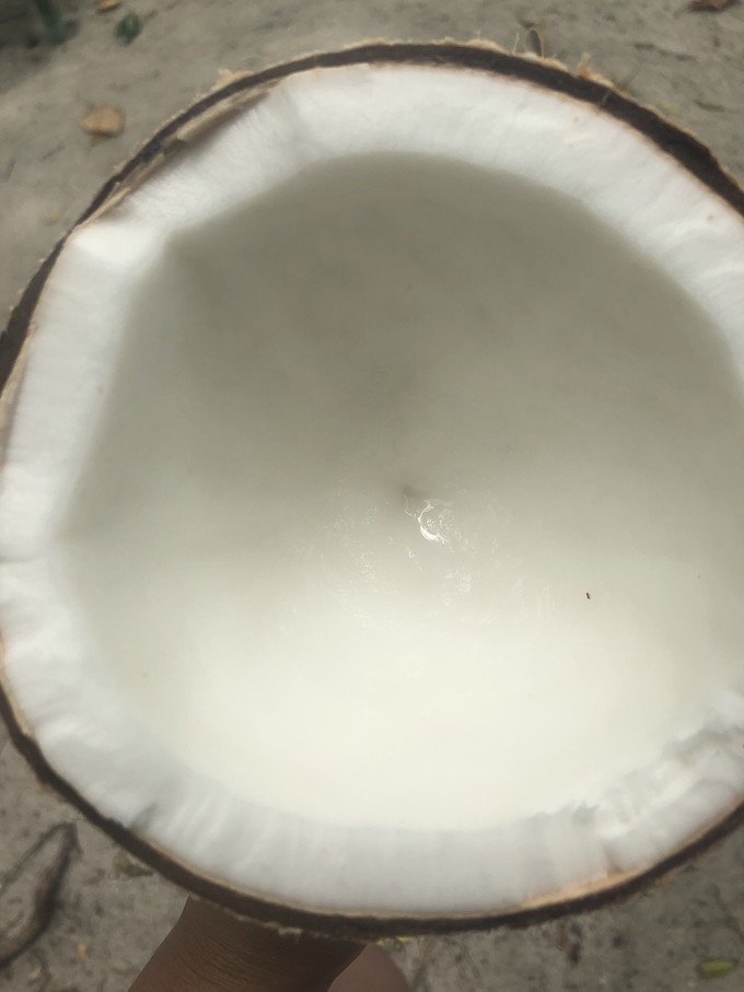 帕劳的海景风光给人美的享受,帕劳的海洋和沙滩风景图片