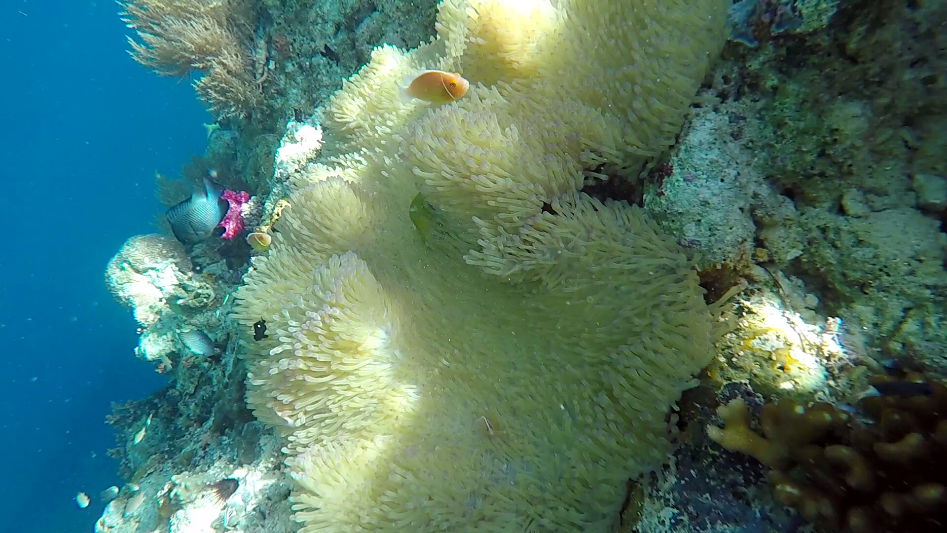 帕劳的海景风光给人美的享受,帕劳的海洋和沙滩风景图片
