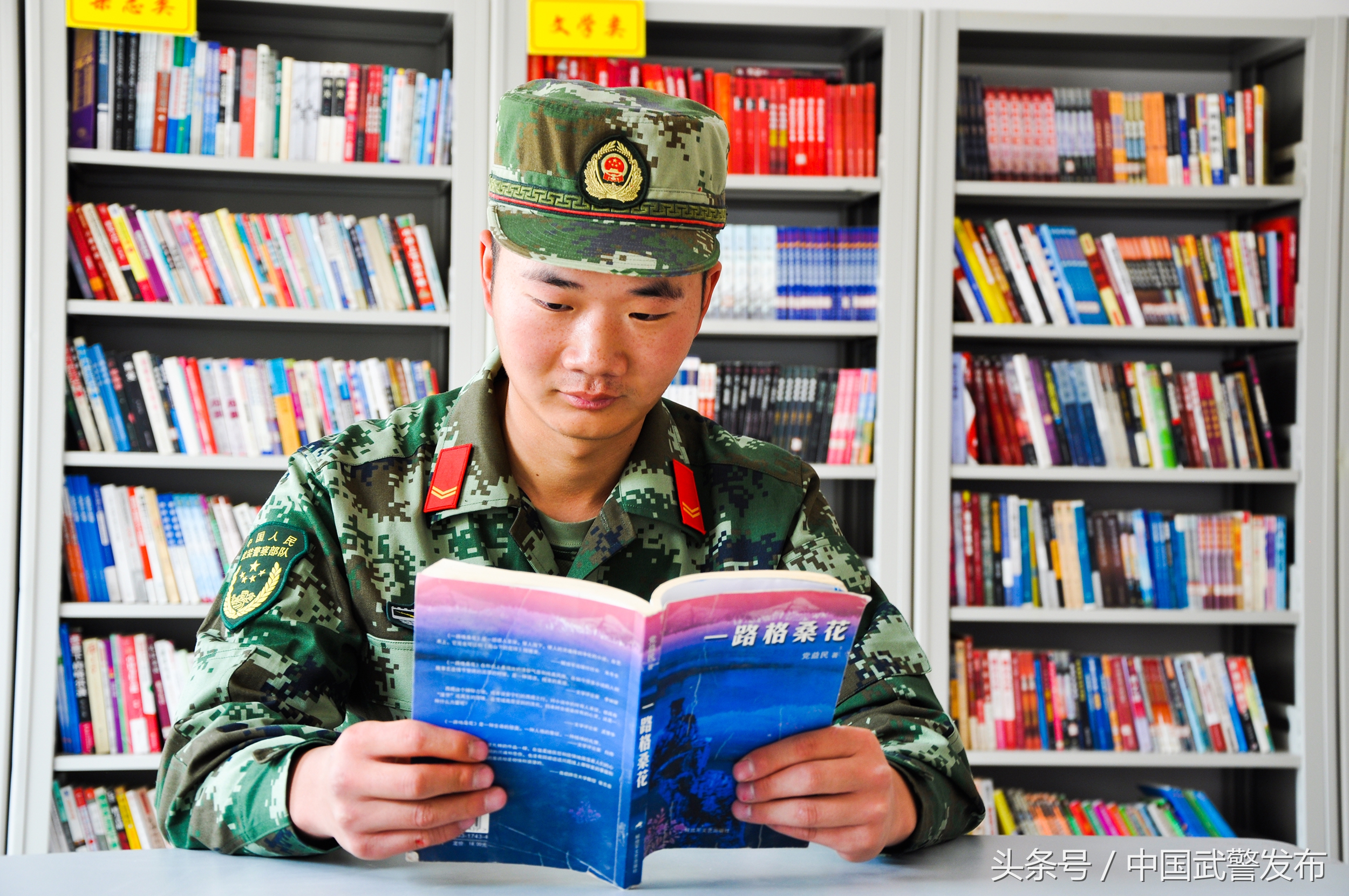 生命之花在雪域高原绽放,青春在雪域高原美丽绽放