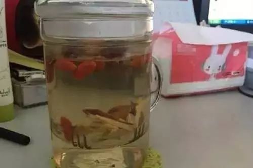 好吃的补气血的人参,外行吃人参内行吃什么