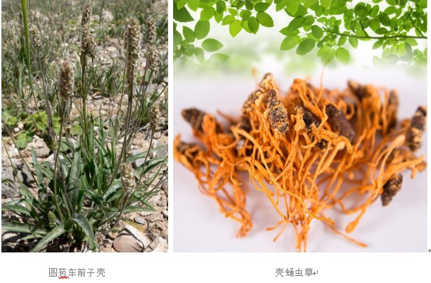 从200斤到90斤，看季泉教你是如何吃出美丽好身材的！