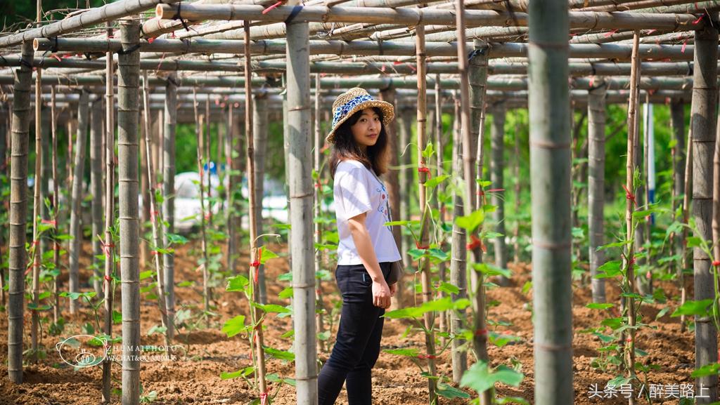 江西三清山风景区一日游攻略,江西圭峰山风景区攻略