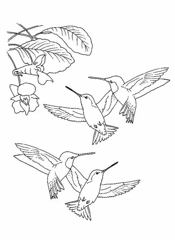 有了画画模板该怎么画,新手比较适合的画画教程