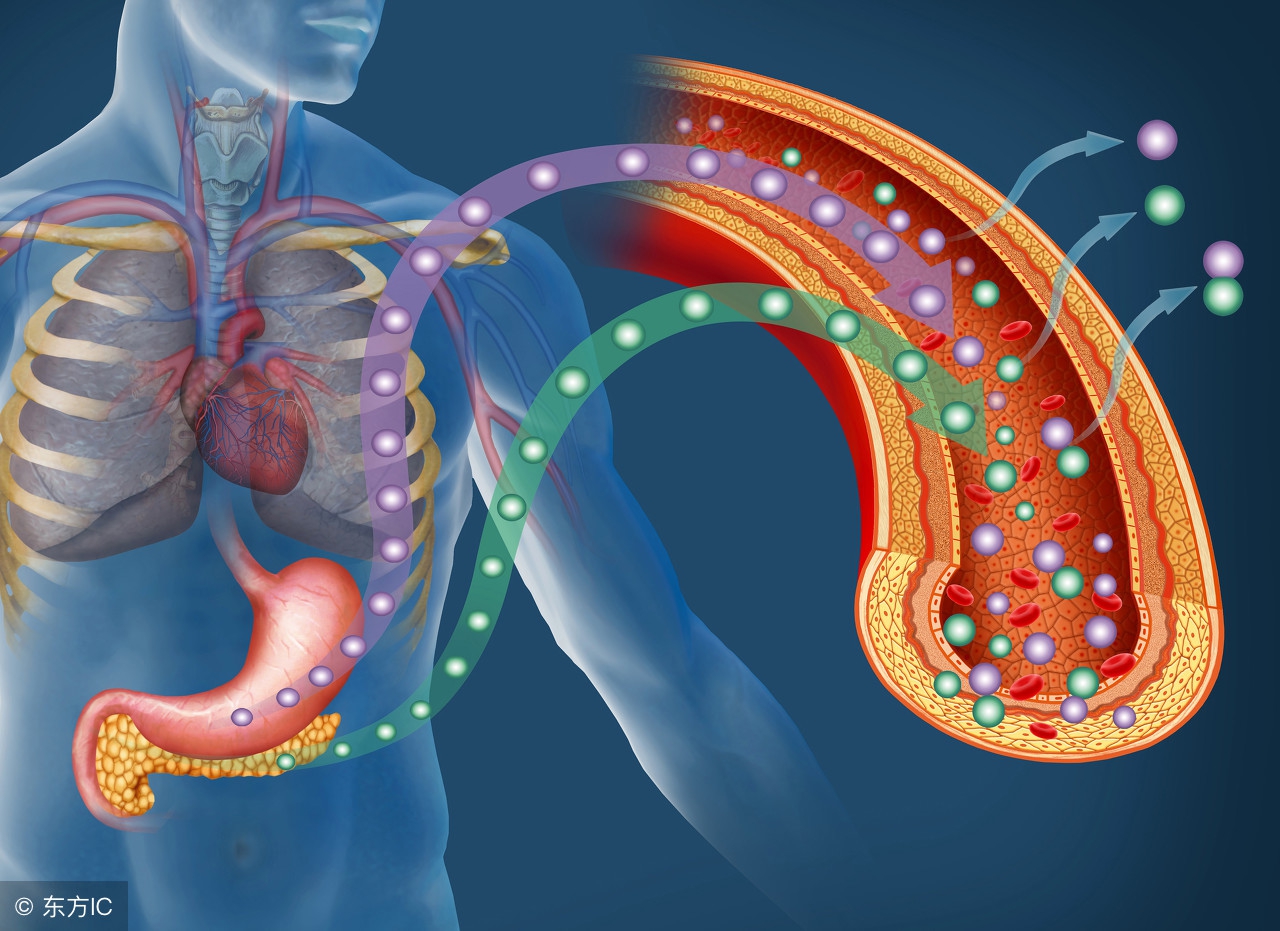 怎么区分一型和二型糖尿病标准,如何分辨1型糖尿病和2型