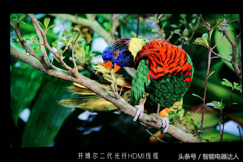 20米hdmi高清线选啥牌子,20米hdmi光纤与铜线哪个好