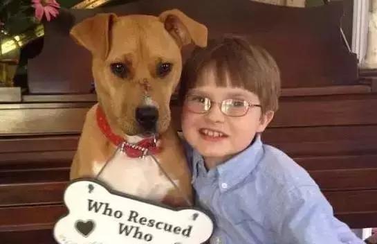 这个蓝星人都治不好的“绝症”，让狗狗给治好了