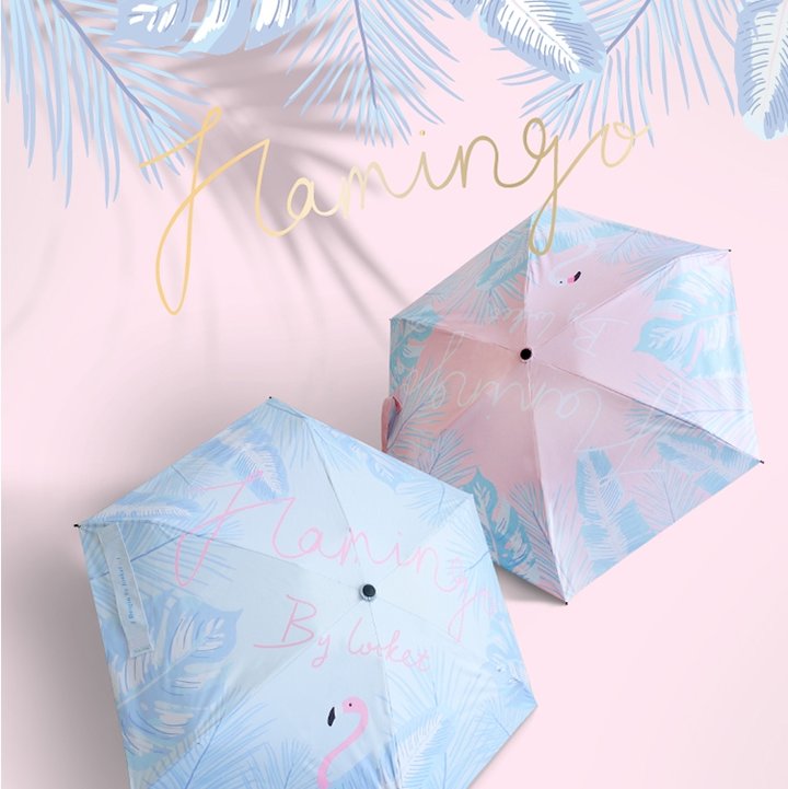 想要一把可以遮风挡雨的伞,拥有一把伞挡风又挡雨