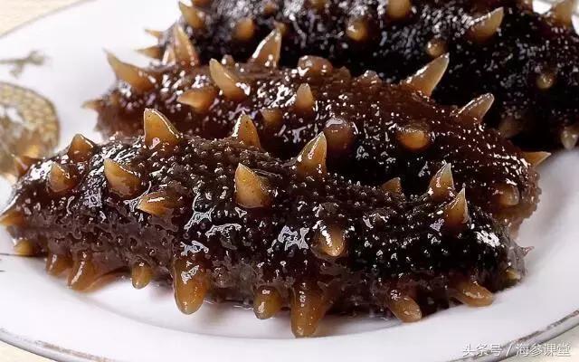 高考孩子吃海参的功效与作用,即将高考学生吃海参