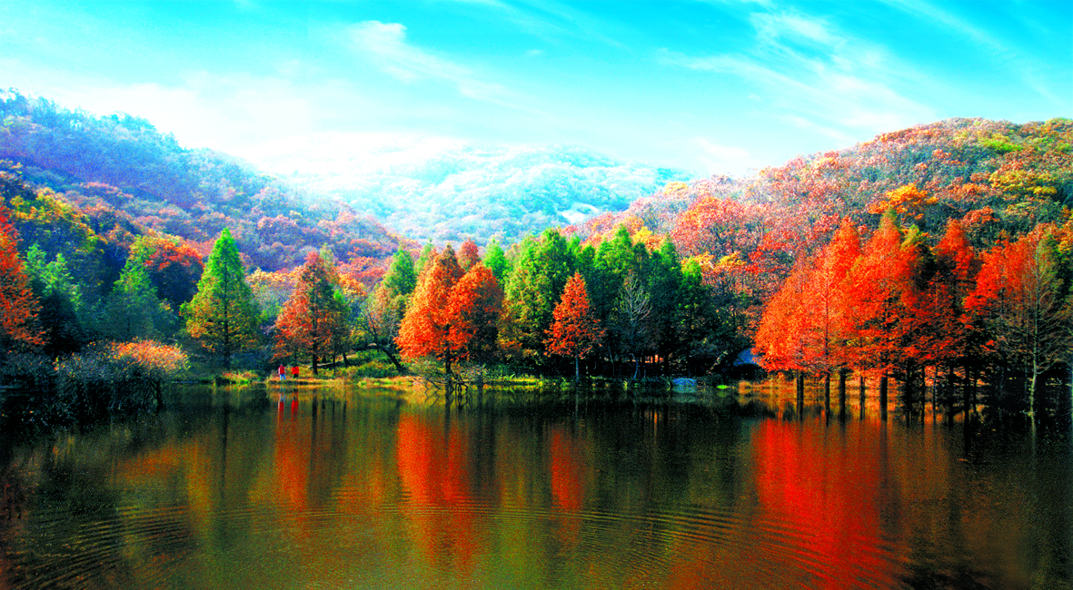 5a嵩县,5a嵩县县城