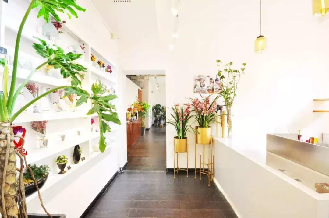 不爱回家探店,北京网红花店有哪些