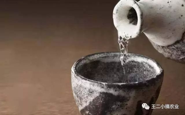 利用秸秆栽培食用菌,枯草芽孢杆菌发酵猪粪技术