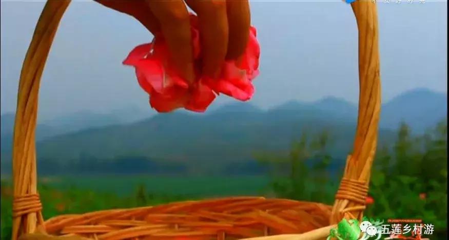 五月来西双版纳,适合五月旅行民宿