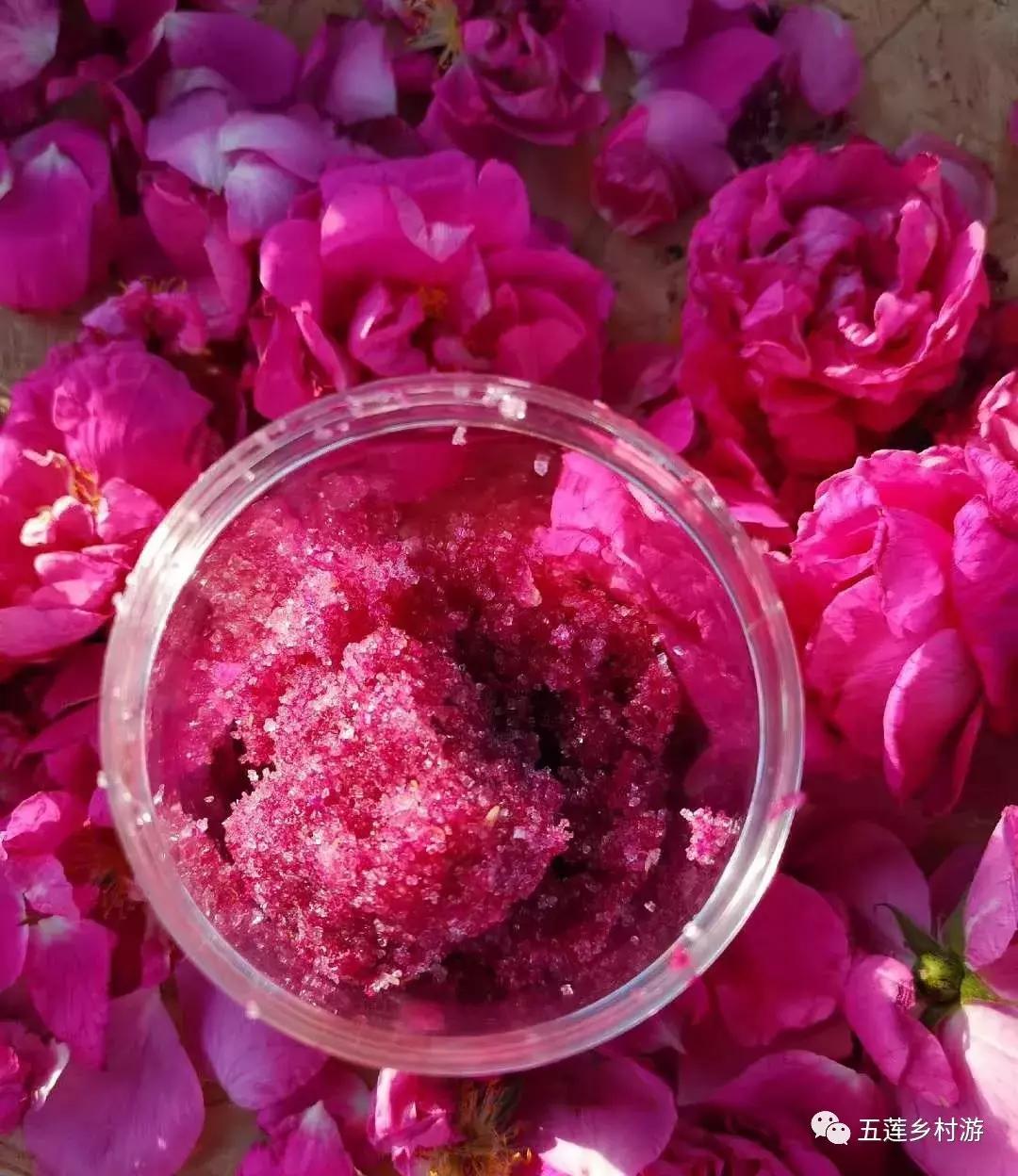 五月来西双版纳,适合五月旅行民宿