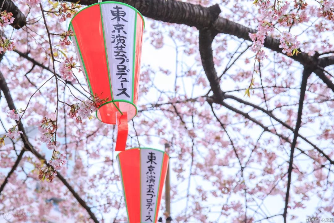 大部分人去日本,去日本东京怎样玩的才痛快