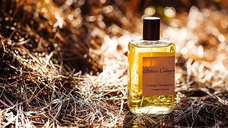 女人身上的香水味是什么很好闻 (你身上有他的香水味但没有我的贵)