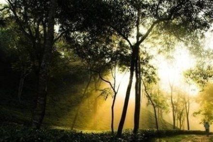 坚持了才叫梦想放弃了就叫妄想,理想需要靠自己的努力去实现