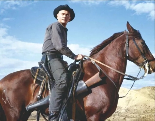 西部世界恐怖片,西部世界恐怖故事