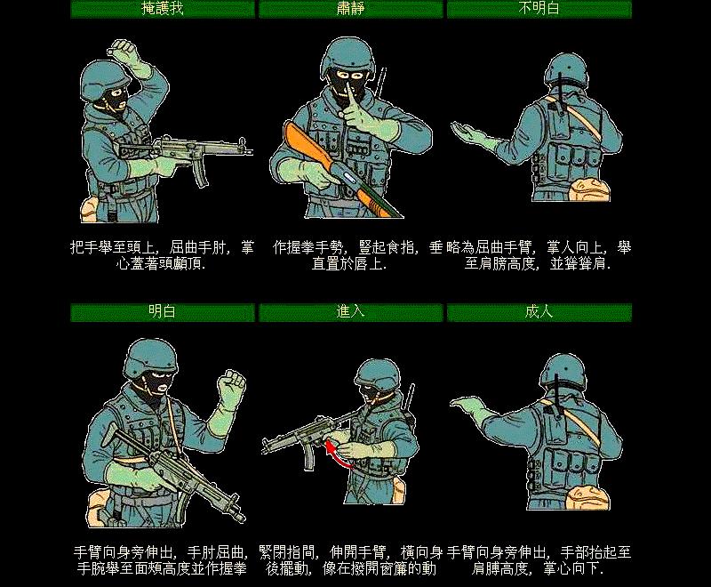 手语一只手100个手势图解,各种手语手势