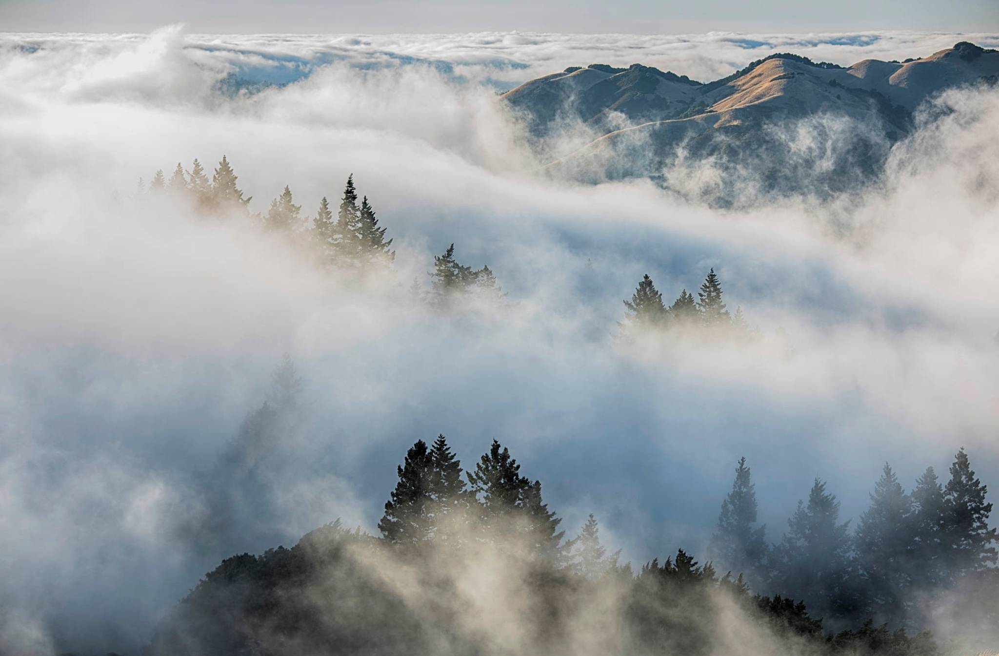 励志的名言名句或者古诗,励志的古诗词名言警句