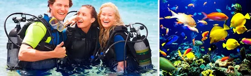 巴厘岛通关攻略,逃离巴厘岛攻略