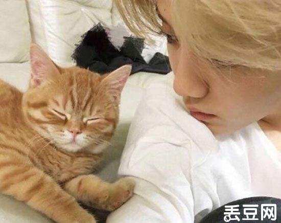 跑男团成员的宠物有哪些,跑男团更宠谁