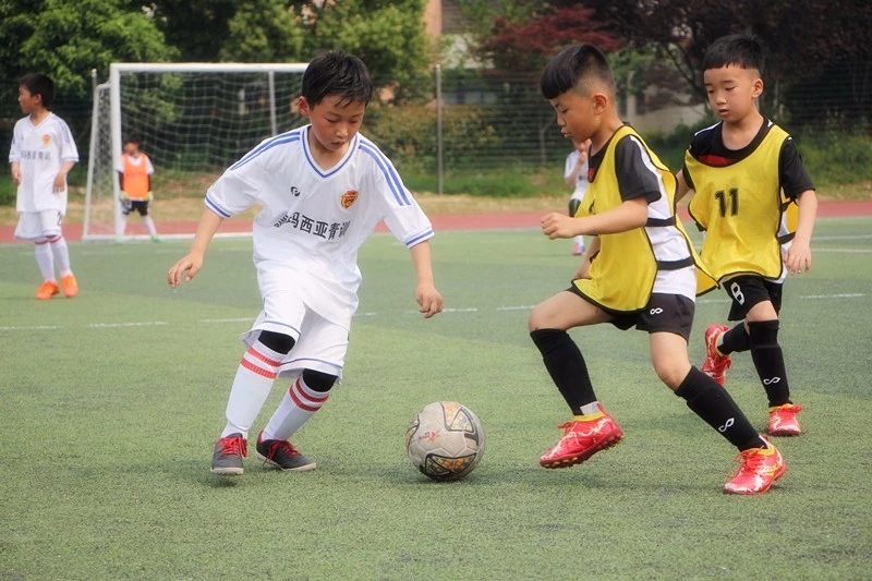 足球比赛有感,小学生足球比赛有感