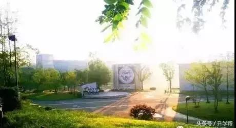 起底“德瑞系”——成外、实外、实外西区三校大比拼！