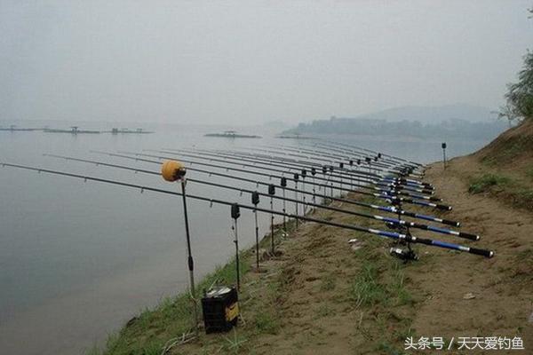 在夏季野钓大草鱼时的钓法招式,夏季水库钓青鱼草鱼用什么饵料