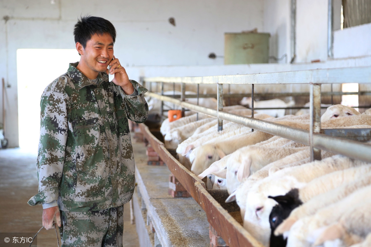 农民买房补贴哪里申请,购房农业补贴需要什么时候申请