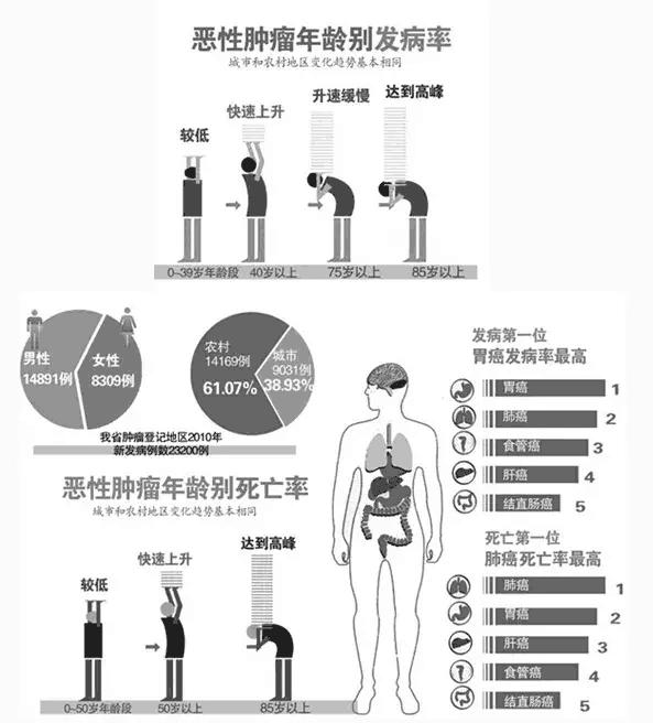 胃癌后医生建议做基因检测,胃癌早中期需要做基因检测