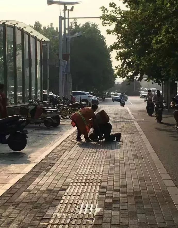 董卿跪,董卿下跪的节目