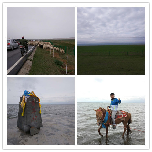 环青海湖骑行什么车比较好,去青海湖骑行几月份最合适