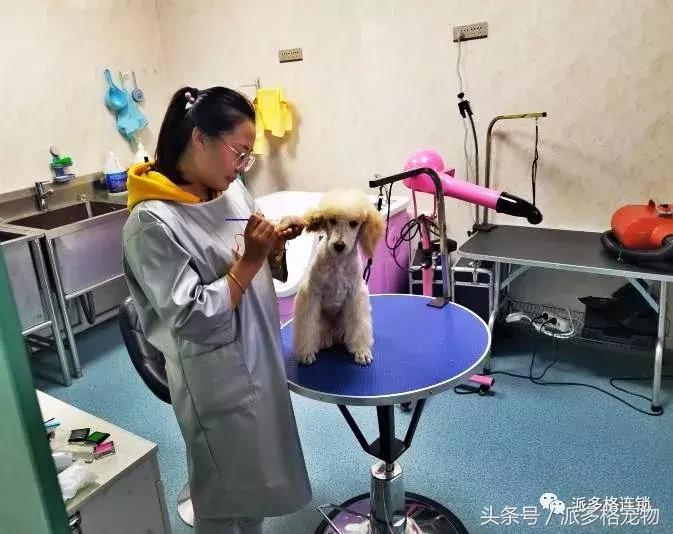 幸福就是，和最爱的人一起*爱做**做的事情！