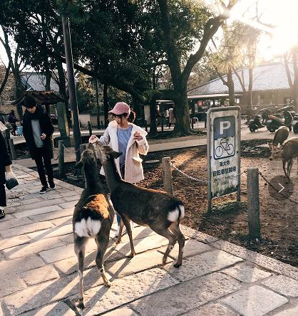 去日本旅游有哪些发现,去日本必须知道的10个细节