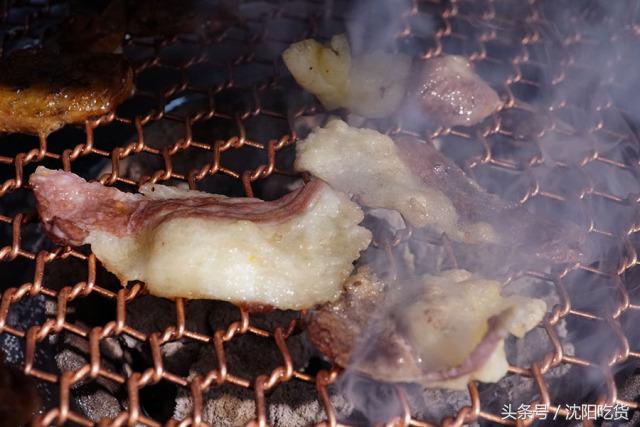 真正的肉食主义,肉食主义都有哪些