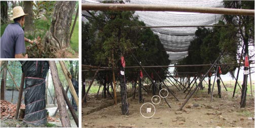 园林工程造价全套视频教程,园林工程预算及造价清单