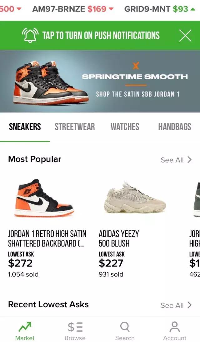 国外月亮哪个品种好,国外月亮