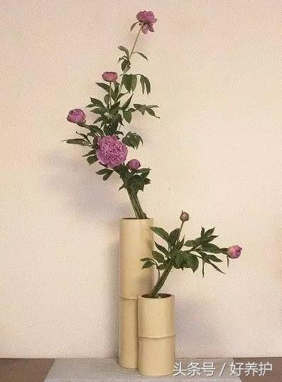 插花干货,值得收藏的插花