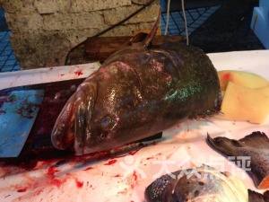 珠海哪个岛可以赶海吃海鲜,珠海吃海鲜哪里性价比高