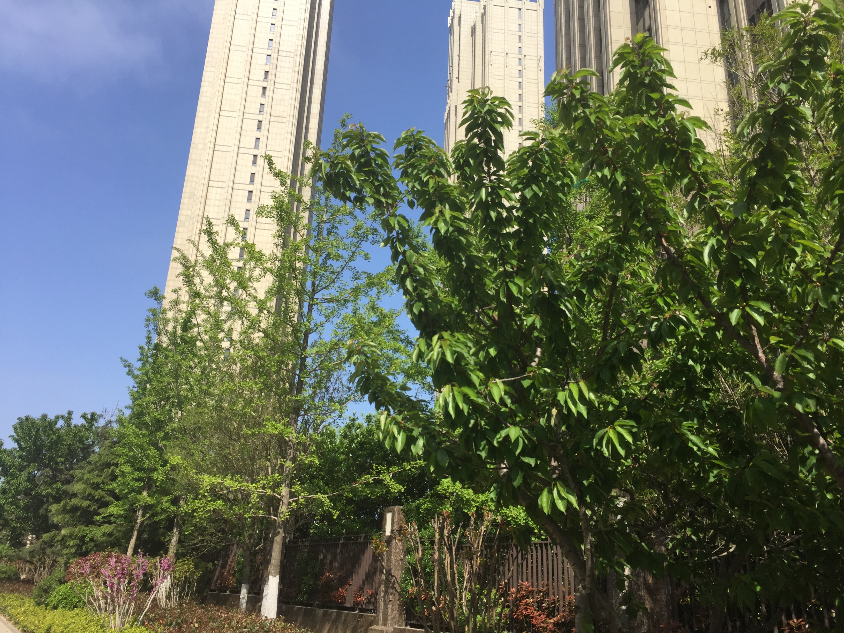 青岛崂山区海信天悦房价,黄岛灵山湾海信天玺最新房价