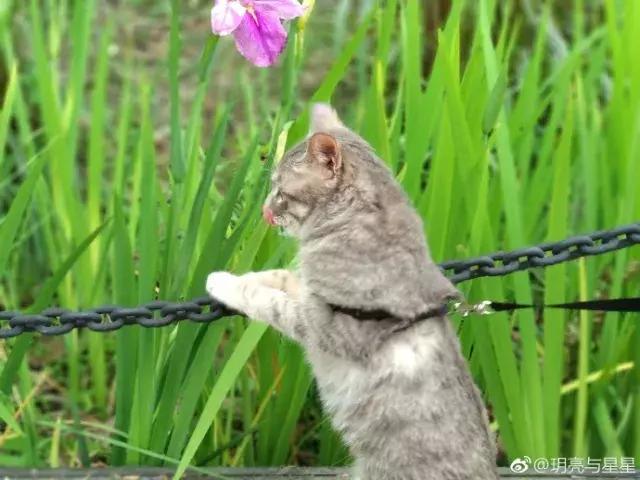 那么多关于温江的回忆,这让我怎么注销QQ