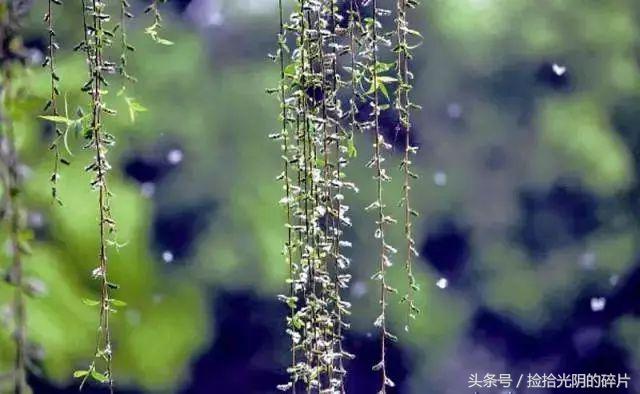 宁静致远散文800字,宁静安详经典散文