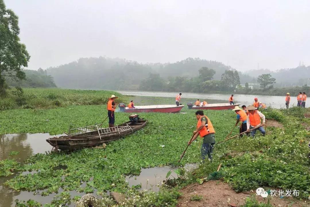 姘戠敓棰嗗煙鑷潵姘撮棶棰樺強鏁存敼鎺柦,閲嶇偣姘戠敓浜嬮」楗敤姘存簮鏁存不