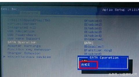 pe识别不到硬盘装不了系统,pe识别不了固态硬盘