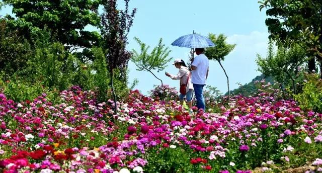 黛眉山怎么样值得去吗,黛眉山现在能不能去