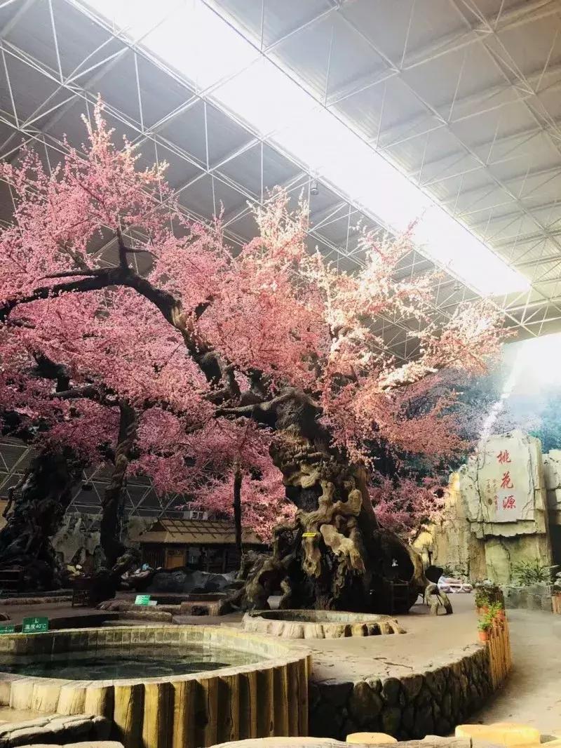 棣欐床鏃呮父搴﹀亣鍖烘父鐜╂敾鐣ヤ竴鏃ユ父,鏀鹃蹇冩儏蹇箰鍑烘父